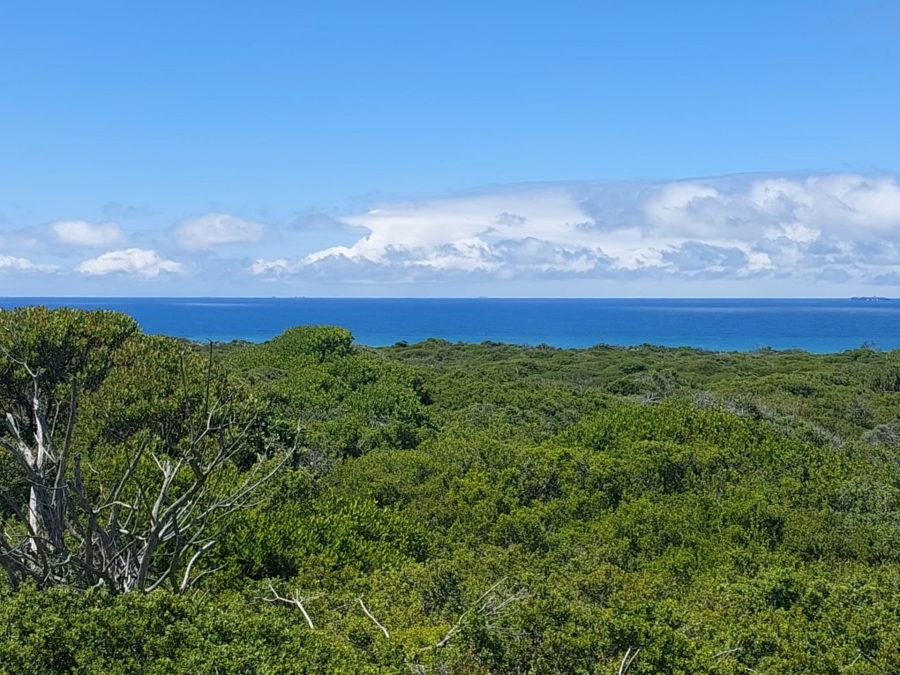 0 Bedroom Property for Sale in Agulhas Western Cape